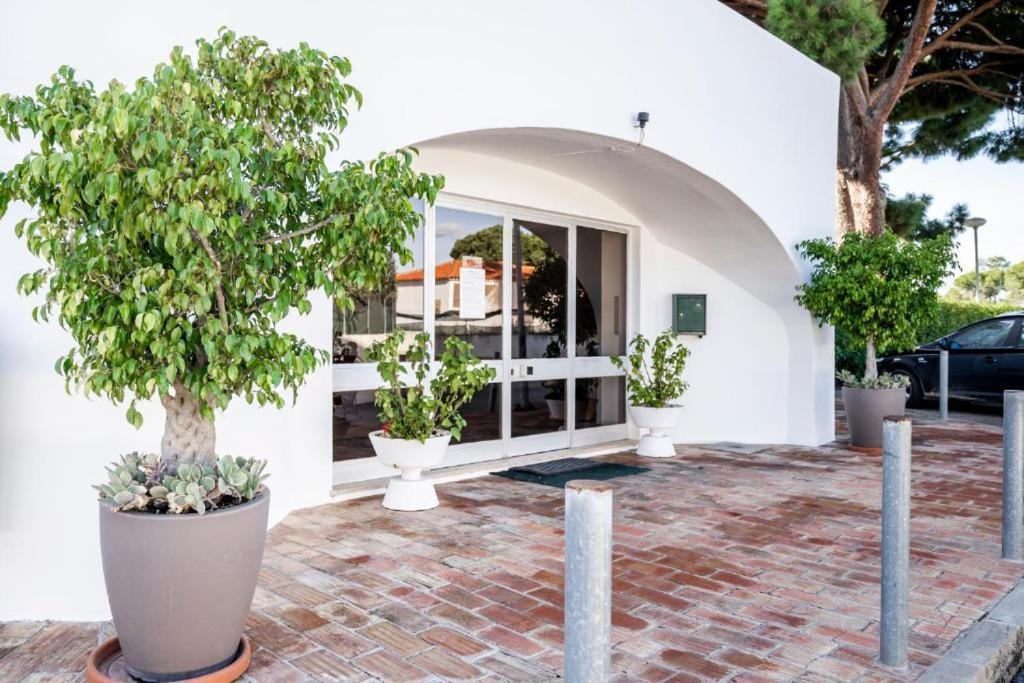 Vieira Apartment 1 Quarteira Exteriér fotografie